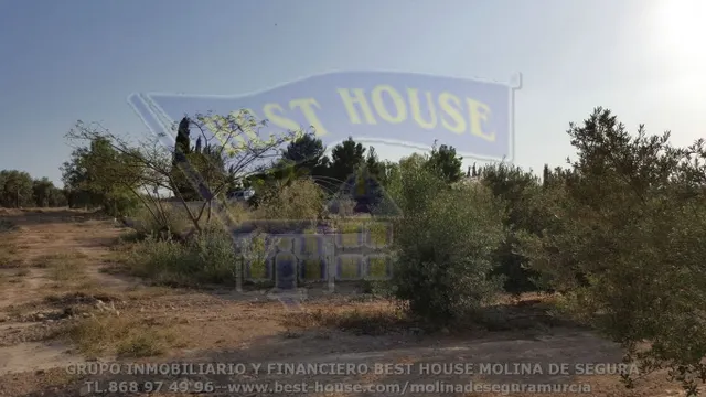 ++finca rustica en Las Torres de Cotillas++ 45.500 m. superficie parcela++ — 4