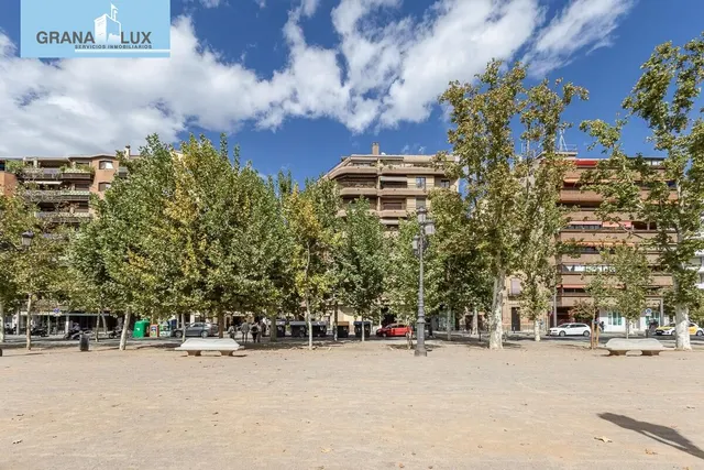 Pisazo en paseo del salón - Granada — 46