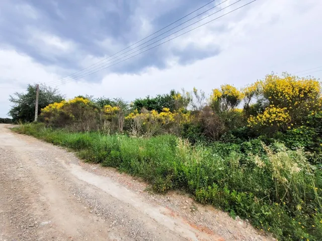 Terreno rústico de 10.735 m2 en Castellbisbal zona Can Nicolau de Dalt. — 15