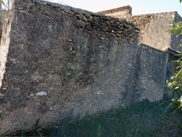 Encantador terreno con agua y luz de 1,2 ha — 4