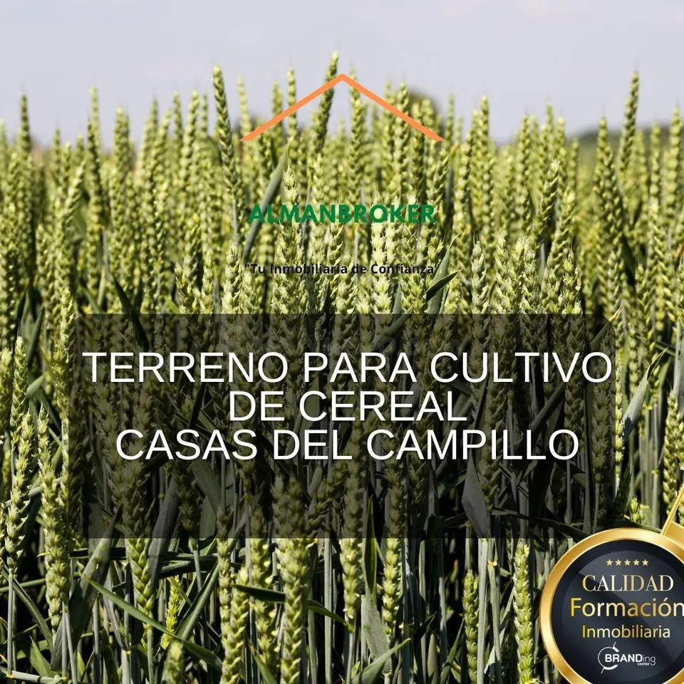 Terreno rural en venta - La fanegra