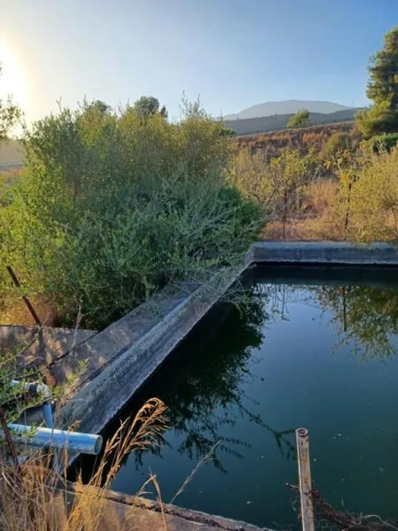 ESTUPENDA PARCELA AGRÍCOLA CON CASA MUY CERCA DEL PUEBLO DE  - foto 2