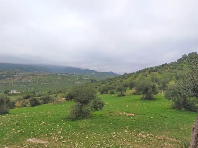 Espectacular finca en la localidad de Alozaina — 14