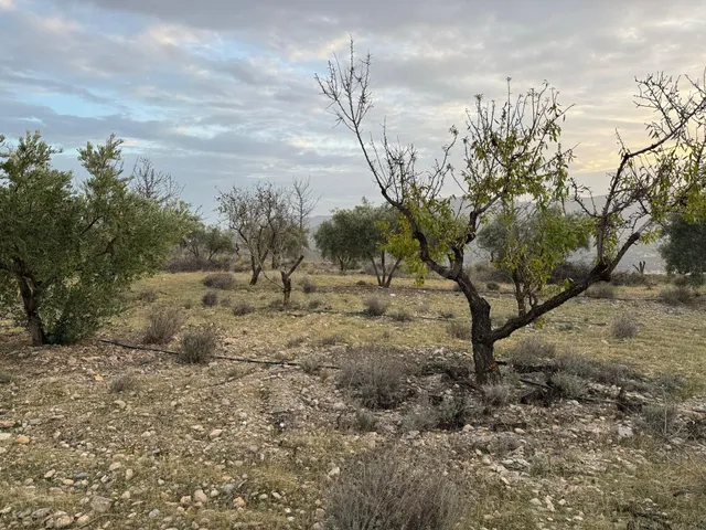 Terreno rural en venta - Murchas - foto 4