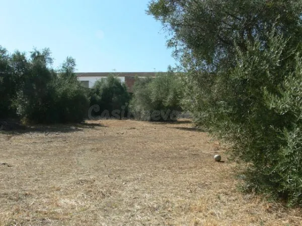 ¡exclusiva oportunidad en Castilblanco de los Arroyos! solar urbano de 200m2 desde 48.000€ — 3