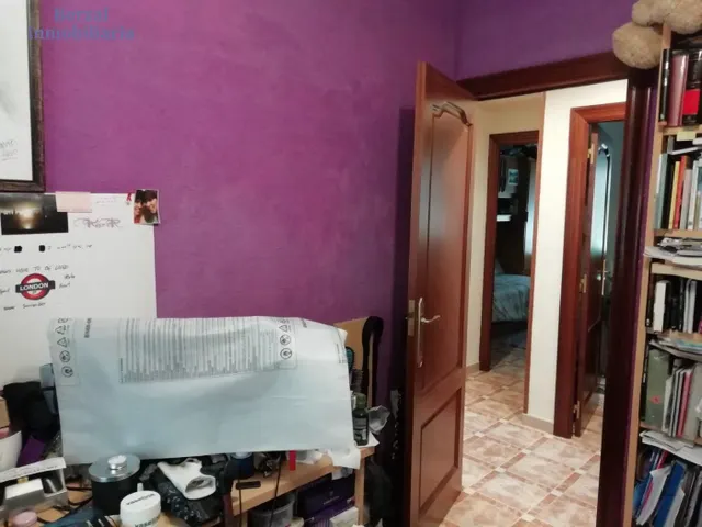PISO AMPLIO EN LAS PEATONALES — 13