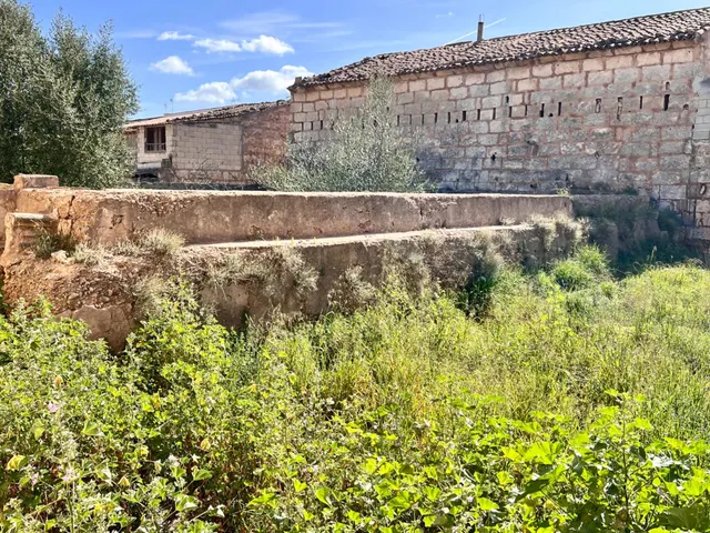 Solar en Sa Pobla — 6