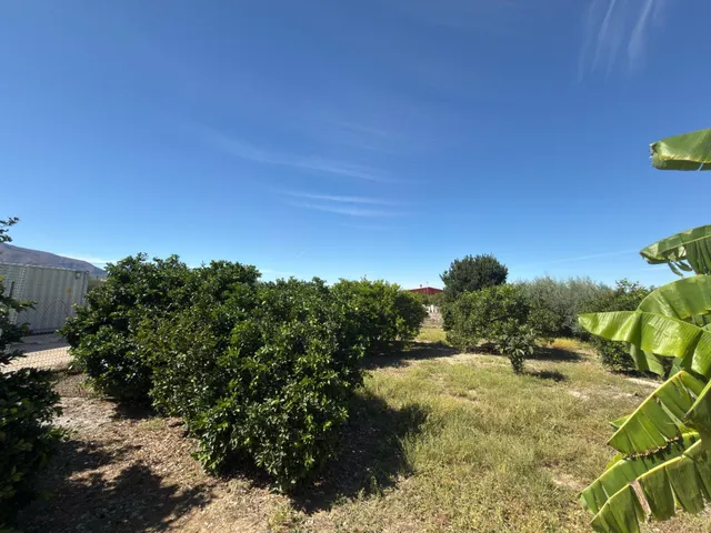 Chalet 5 habitaciones 505m² en venta - Montepinar-La Aparecida-Raiguero — 16
