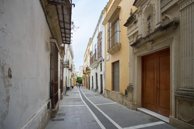 EN VENTA ANTIGUO PALACETE EN SAN MIGUEL — 19