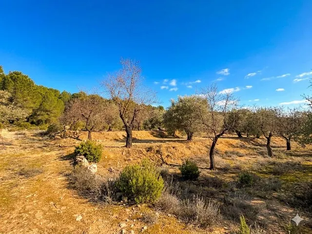Terreno rústico a solo 3 km de Biar | Posibilidad de construir vivienda y conectar a agua y electricidad — 13