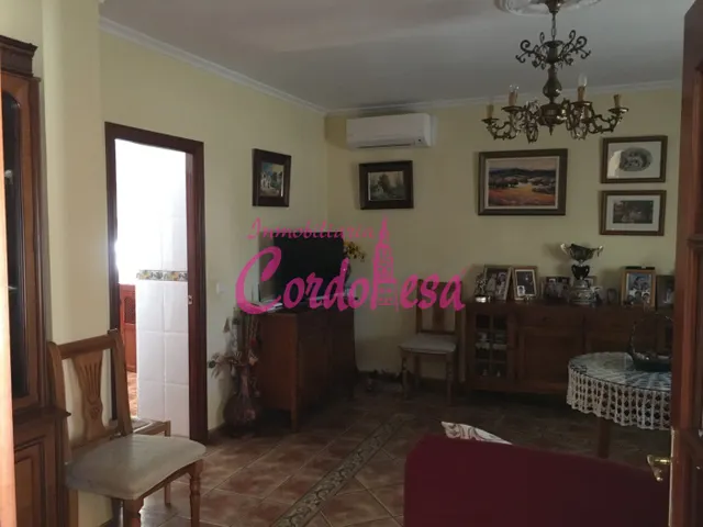 MAGNIFICO CASA CON TERRRENO EN ALCOLEA!! — 4