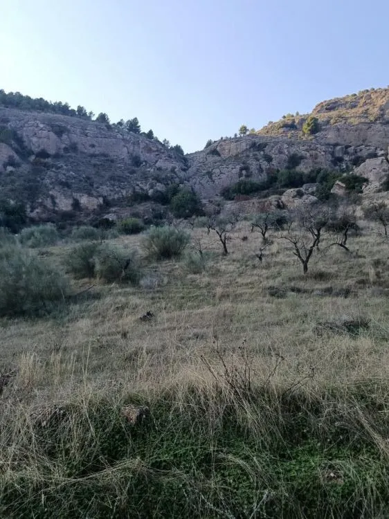 Parcela en venta - Alora pueblo — 6