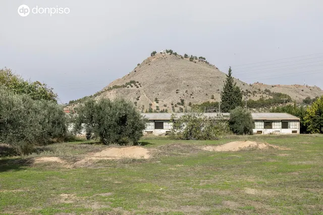 ¿Te falta espacio o lo tuyo es la Agricultura?. Suelo rustic