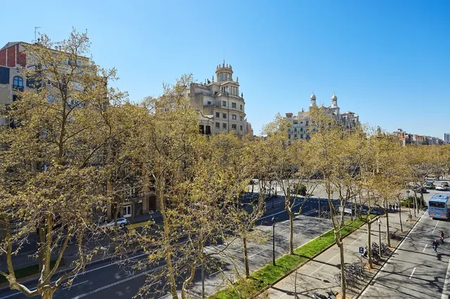 FANTASTICO PISO EN DIAGONAL — 2