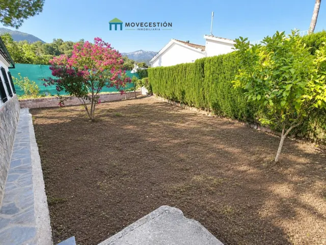 Campo en tavizna — 15