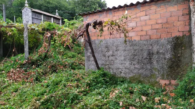SE VENDE CASA DE PIEDRA PARA REFORMAR EN BUGALLIDO — 24