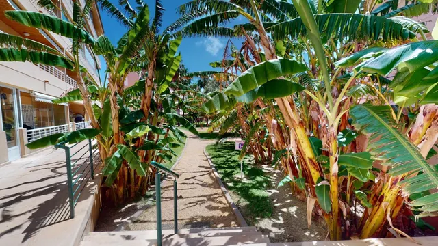 Apartamento 3 habitaciones 129m² en venta - PLAYA — 20