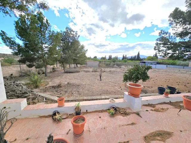 ¡Bienvenido al encanto rural de Molina de Segura! — 22