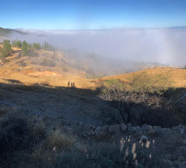 Terreno rústico con encanto y vistas espectaculares — Fasnia, Tenerife — 31