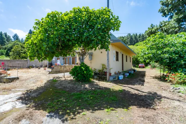 Finca con vivienda y viñedos en Icod de los Vinos — 19