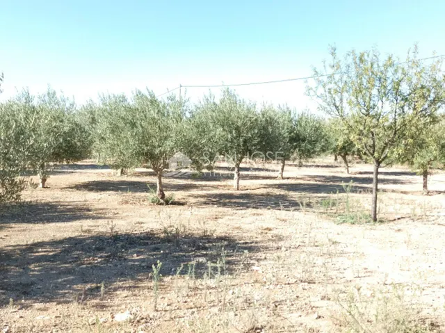 INMOBILIARIA SAN JOSE VENDE ESTUPENDO CHOLLO DE  CHALET EN POZOBLANCO-MONFORTE DEL CID — 43