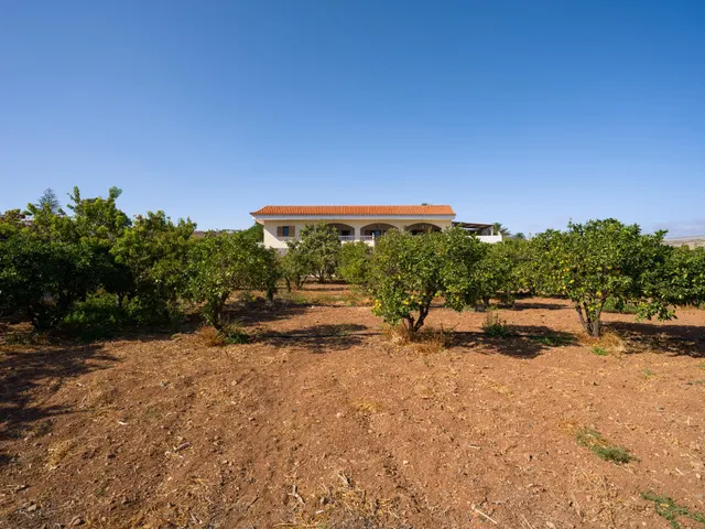 Finca rústica con amplia vivienda y azotea en Las Mejías – Ingenio, Gran Canaria — 8