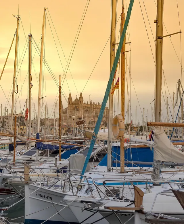 Unidades comerciales en alquiler cerca del Puerto de Palma d - foto 4