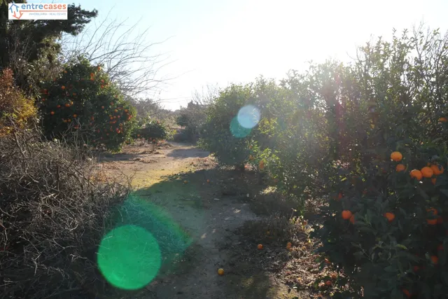 Conjunto de parcelas en Canet de Berenguer (zona gasolinera) — 11