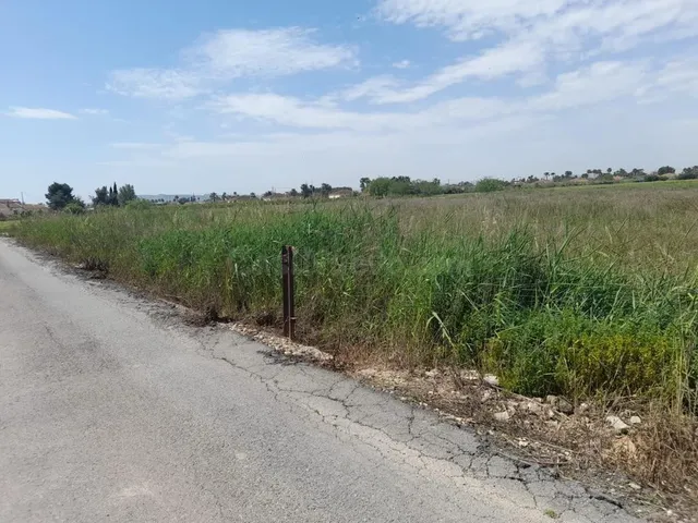 Amplia Parcela en Catral, Alicante - Oportunidad Única - foto 4