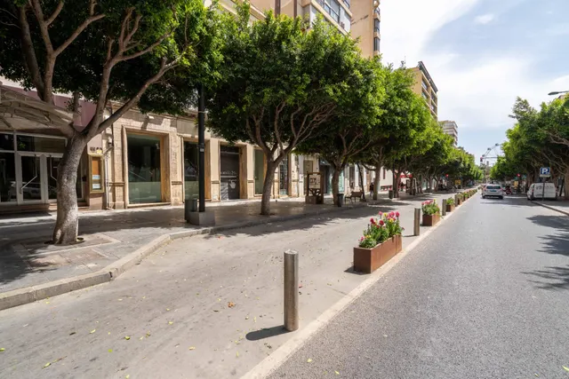 Local en alquiler en pleno Paseo de Almería — 20