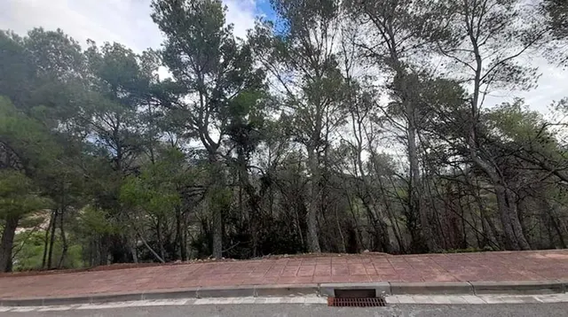 Parcela urbana consolidada en Mas Alba, Sant Pere de Ribes — 9