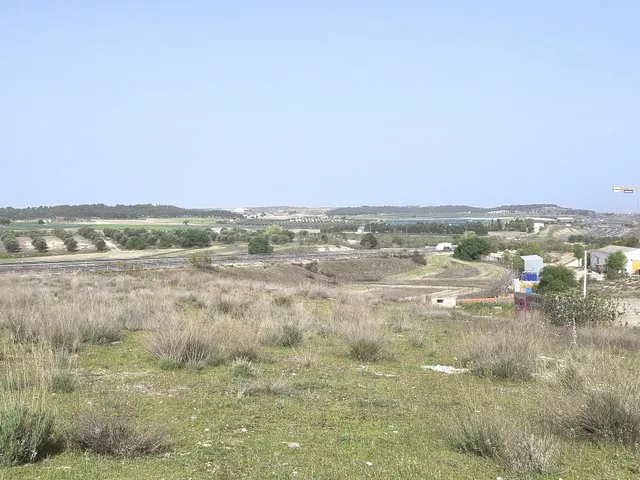 PARCELA EN "LOS BLANCARES" - foto 4