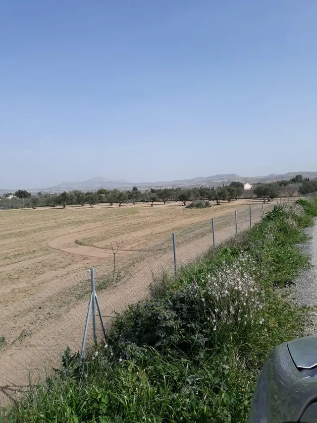 VENDO PARCELA VALLADA  CON AGUA DE RIEGO — 8