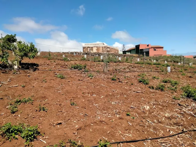Terreno rural en venta - Zona Centro - foto 2