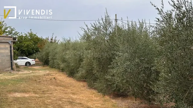 Terreno en venta - partida canet — 4
