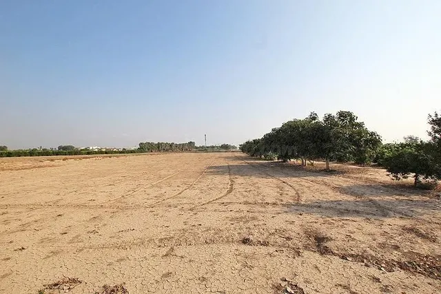 Finca rústica 2 habitaciones 247m² en venta - Comunidad valenciana — 21