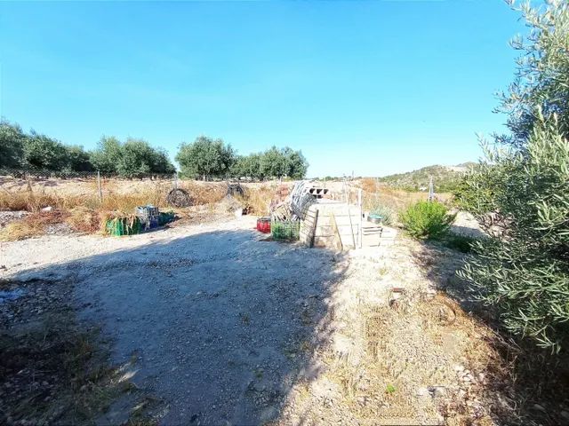 VENTA DE PARCELA ENTRE LA ROMANA Y ASPE — 17