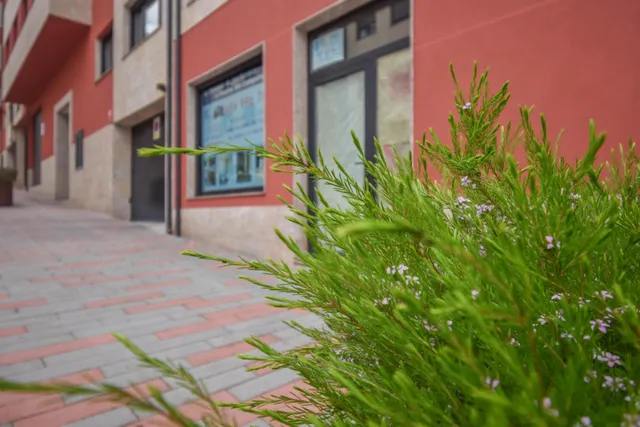 LOCAL COMERCIAL DE 105 METROS — 2