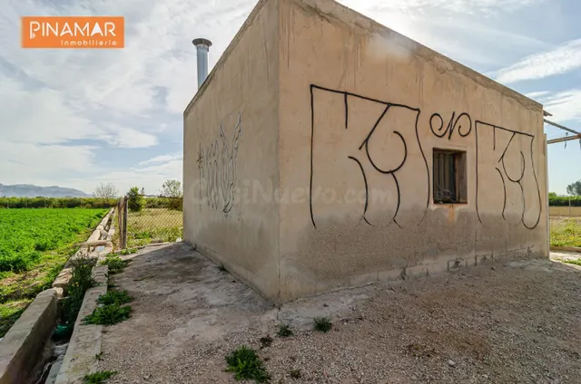 ¡Tu rincón perfecto a solo 300 metros de Santomera! ✨Parcela - foto 4