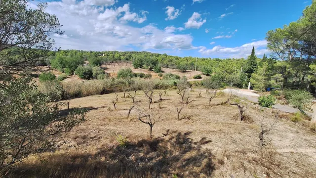 Finca rústica con encanto cerca de El Perelló – 23.000 m2 de naturaleza y tranquilidad — 13