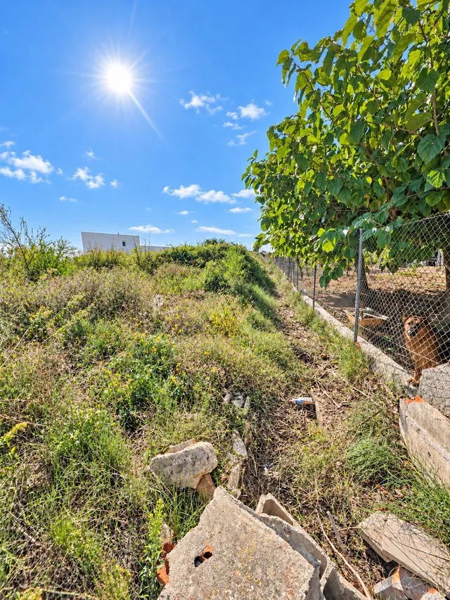 Finca rústica de 6.705 m2 en la zona de els ullals de baltasar, Amposta — 18