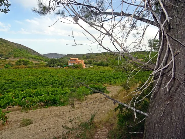 Bodega en venta en Jalon — 11