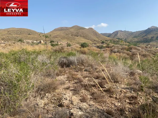 SE VENDEN DOS PARCELAS RUSTICAS DE 80000 Y 40000 M2 EN EL JU - foto 2