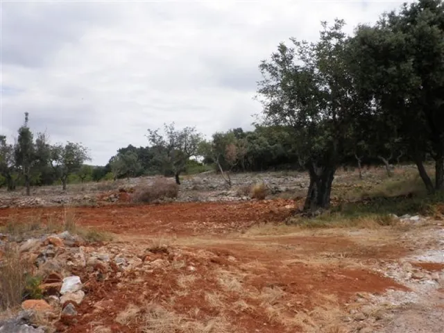 Parcela Rústica apta para la construcción de una vivienda unifamiliar en 2 plantas — 11