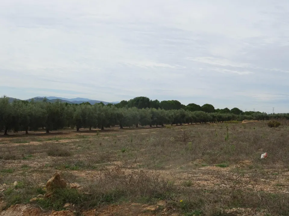 PRECIO de OCASIÓN!! Parcela de 12.000 m2 para construir en Benejama