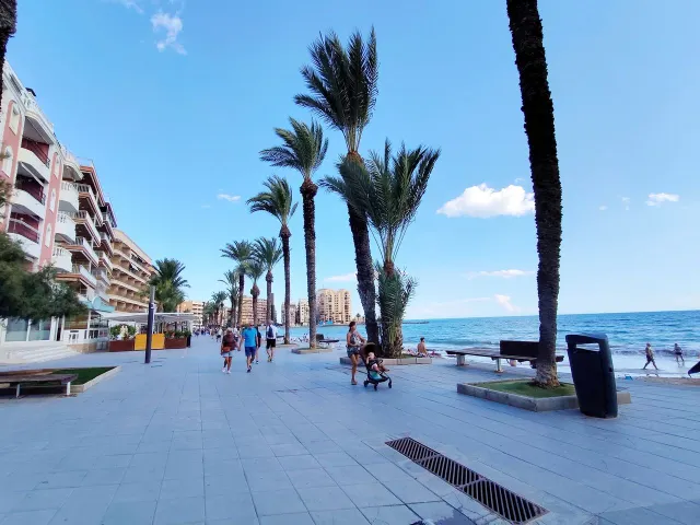 Apartamento 1 habitación 47m² en venta - Estacion de autobuses — 19