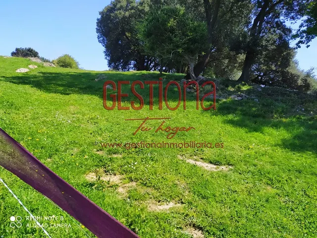 TERRENO RÚSTICO 17.933M2 EN CASTILLO SIETE VILLAS — 14