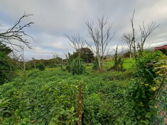 EXCLUSIVO SOLAR URBANO DE 5.092 m2 EN LOS RODEOS - foto 2