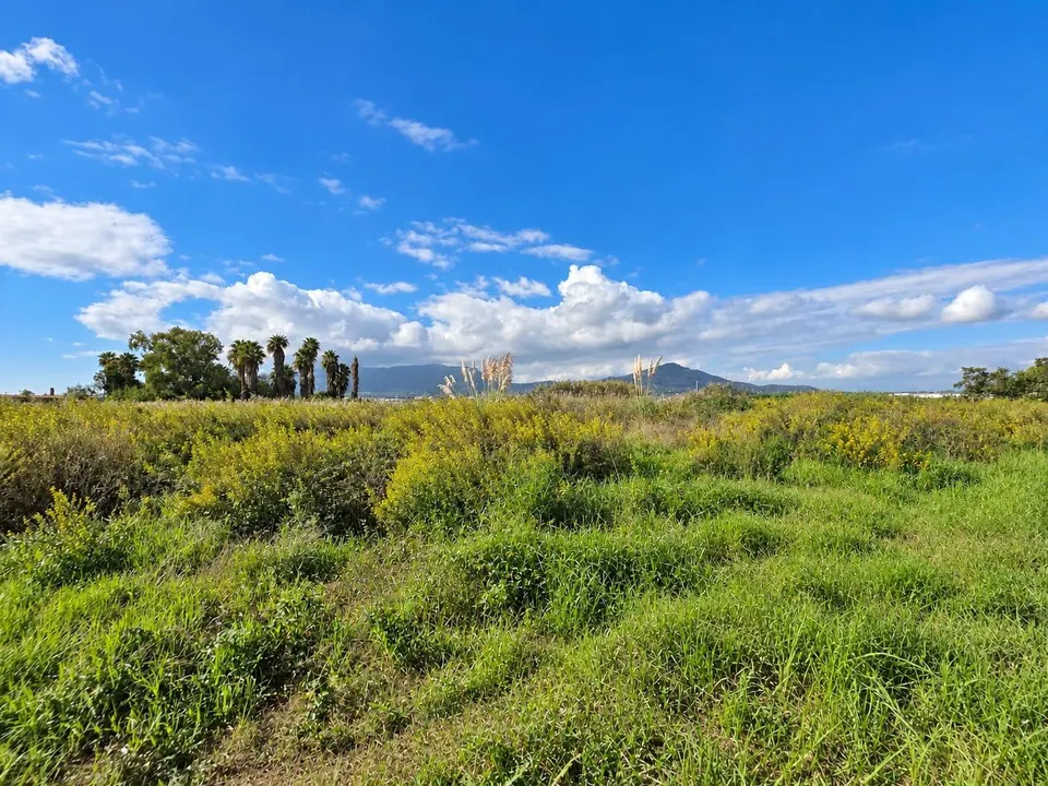Finca rústica de 6.705 m2 en la zona de els ullals de baltasar, Amposta
