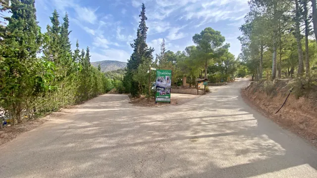 FINCA DE 6 Hectáreas con CASA CORTIJO para reformar — 17